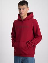 Bild Sail Racing, JR BOWMAN HOOD, Röd, Huvtröjor/Hoodies till Kille, 170 cm