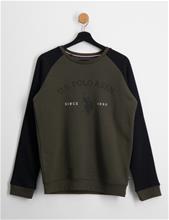 Bild U.S. Polo Assn., USPA Arch Raglan Crew BB, Grön, Tröjor/Sweatshirts till Unisex, 10-11 år