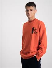 Bild Garcia, Boys Sweat, Orange, Tröjor/Sweatshirts till Kille, 152-158 cm