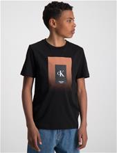 Bild Calvin Klein, GRADIENT BOX LOGO T-SHIRT, Svart, T-shirts till Kille, 16 år