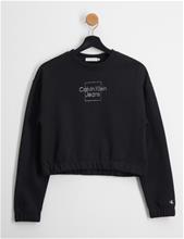 Bild Calvin Klein, METALLIC BOX LOGO SWEATSHIRT, Svart, Tröjor/Sweatshirts till Tjej, 16 år