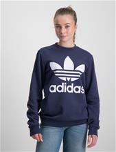 Bild Adidas Originals, TREFOIL CREW, Blå, Tröjor/Sweatshirts till Tjej, 164 cm