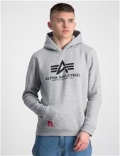 Bild Alpha Industries, Basic Hoody, Grå, Huvtröjor/Hoodies till Kille, 10 år