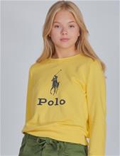 Bild Polo Ralph Lauren, BIG PP PO-TOPS-KNIT, Gul, Tröjor/Sweatshirts till Tjej, M