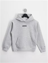 Bild Calvin Klein, MICRO FLOCK LOGO RELAXED HOODIE, Grå, Huvtröjor/Hoodies till Kille, 10 år