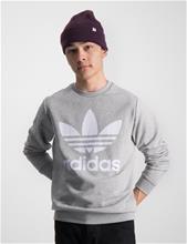 Bild Adidas Originals, TREFOIL CREW, Grå, Tröjor/Sweatshirts till Kille, 170 cm