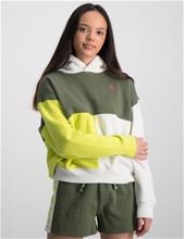 Bild Polo Ralph Lauren, Color-Blocked Fleece Hoodie, Grön, Huvtröjor/Hoodies till Tjej, M