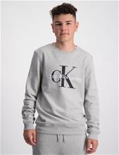 Bild Calvin Klein, MONOGRAM LOGO SWEATSHIRT, Grå, Tröjor/Sweatshirts till Kille, 14 år