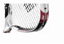 Bild Prince 03 Hybrid Pro