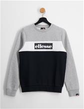 Bild Ellesse, EL PAVONE JNR SWEATSHIRT, Grå, Tröjor/Sweatshirts till Unisex, 13-14 år