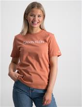 Bild Calvin Klein, INSTITUTIONAL T-SHIRT, Brun, T-shirts till Tjej, 16 år