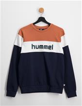 Bild Hummel, hmlCLAES SWEATSHIRT, Brun, Tröjor/Sweatshirts till Unisex, 164 cm