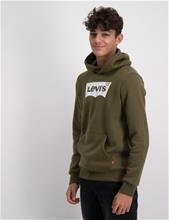 Bild Levis, LVB BATWING SCREENPRINT HOODIE, Grön, Huvtröjor/Hoodies till Kille, 10 år