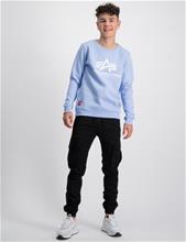 Bild Alpha Industries, Basic Sweater, Blå, Tröjor/Sweatshirts till Kille, 14 år