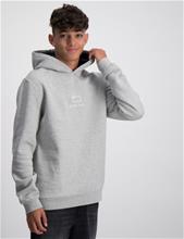 Bild Woolrich, LOGO HOODIE, Grå, Huvtröjor/Hoodies till Kille, 12 år