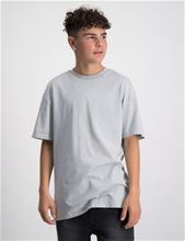 Bild RYVLS, T-Shirt, Grå, T-shirts till Kille, 170-176 cm