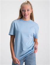 Bild RYVLS, T-shirt, Blå, T-shirts till Tjej, 158-164 cm