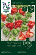 Bild Chilipeppar Jamaican Bell