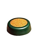 Bild Svampkopp Svampkopp