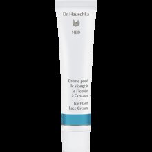 Bild Dr. Hauschka - Med Ice Plant Face Cream 40ml