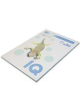 Bild Kopieringspapper IQ A4 80g grå 100/bt Kopieringspapper 