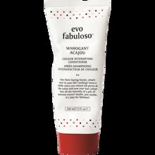 Bild Evo - Fabuloso Mahogany Tube Colour Treament 220ml