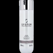 Bild System Professional - Silver Shampoo 250ml
