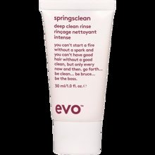 Bild Evo - Curl Spring Clean Deep Clean Rinse